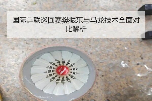 国际乒联巡回赛樊振东与马龙技术全面对比解析